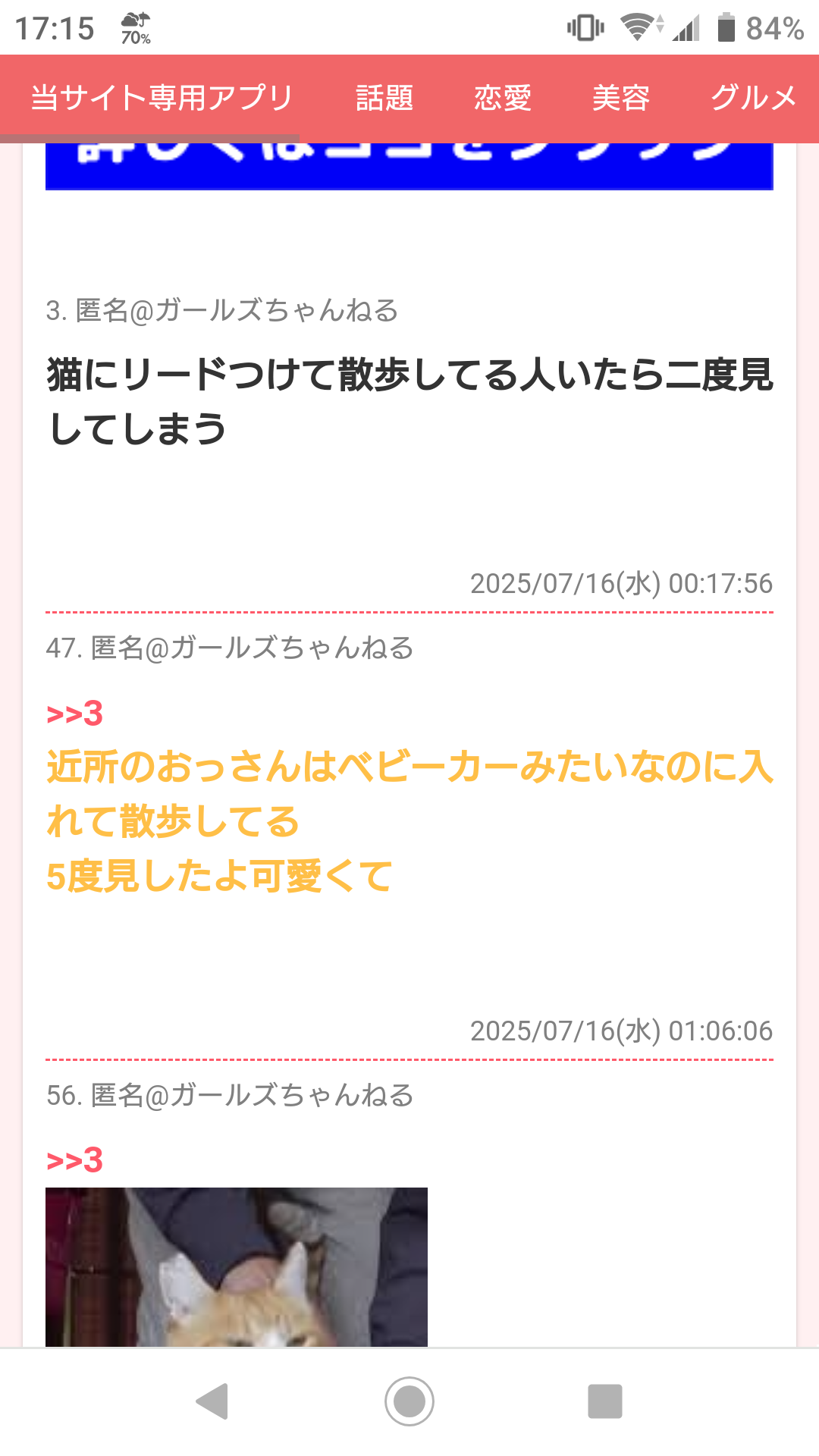 賛否両論ある《猫のお散歩》は本当に必要?飼い主が知っておきたい3つのこと