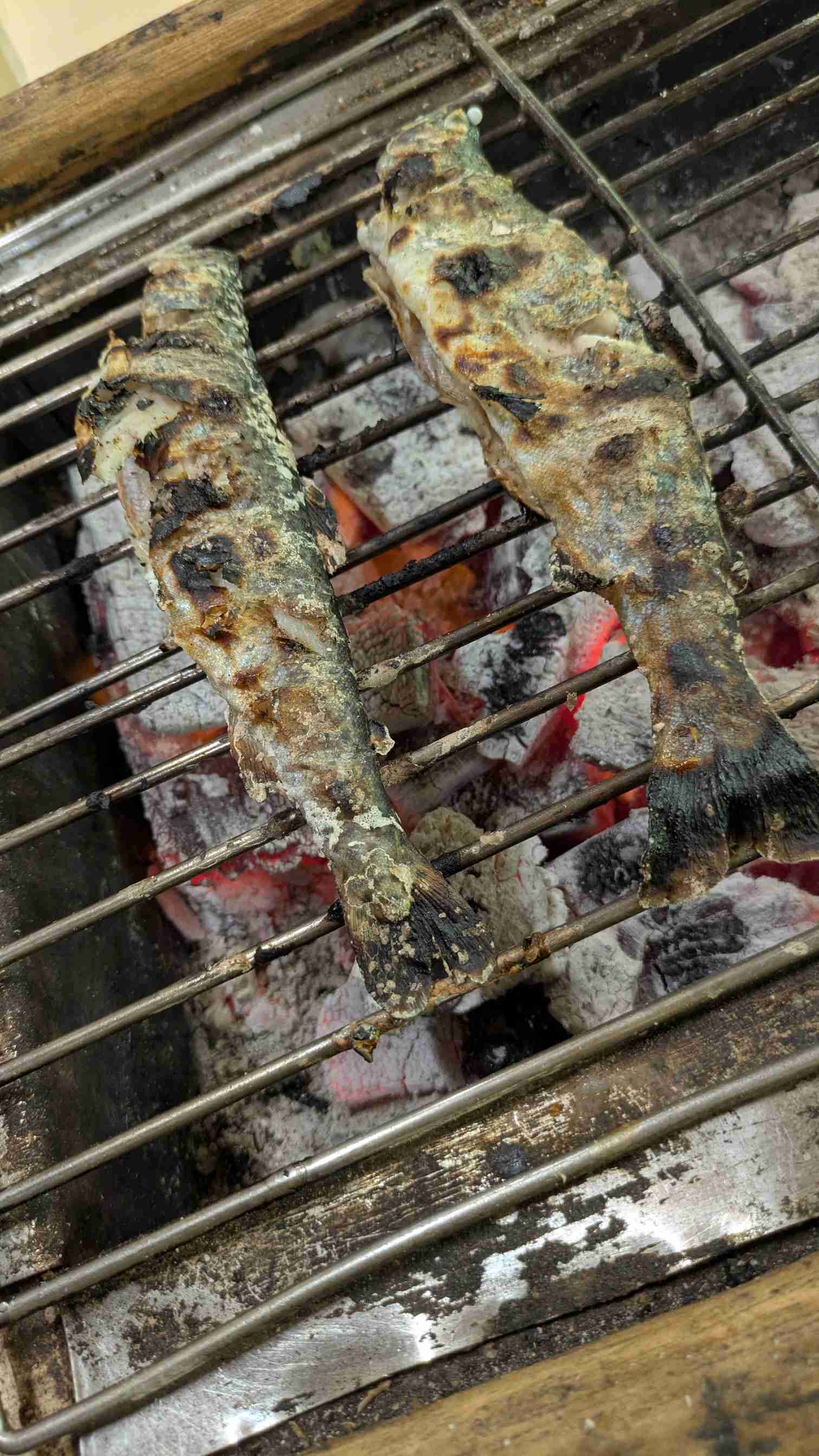 炭火で焼いたら美味しいもの