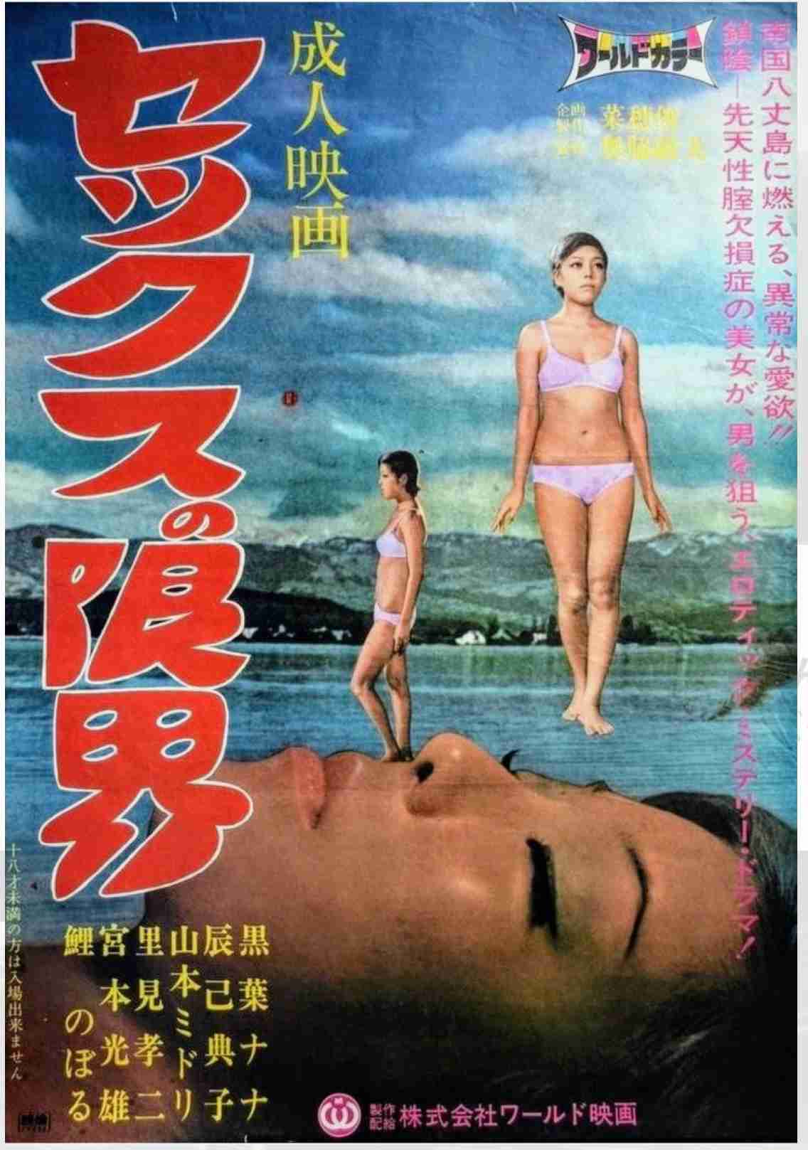 【アダルト】何歳までセックスすると思いますか?