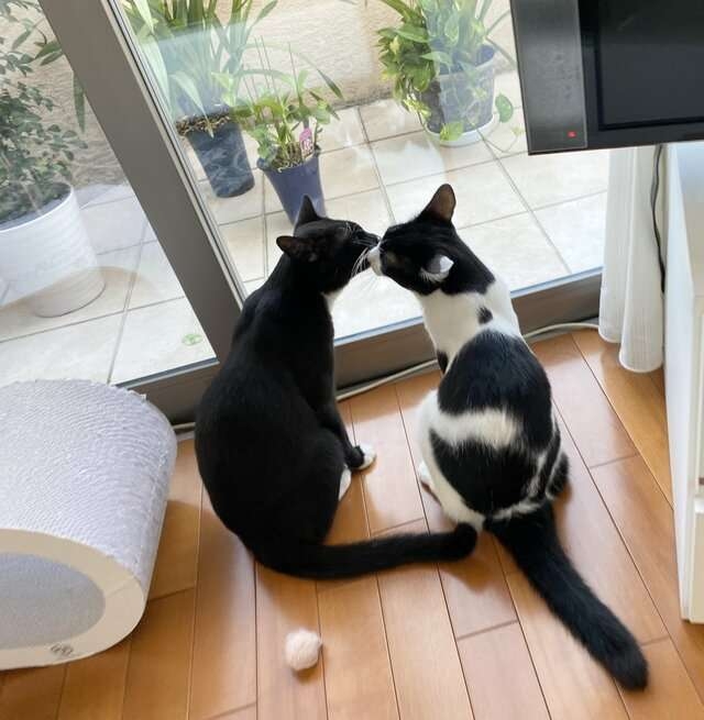 【定期】櫻井敦司語るトピ。アンチ🈲🙅