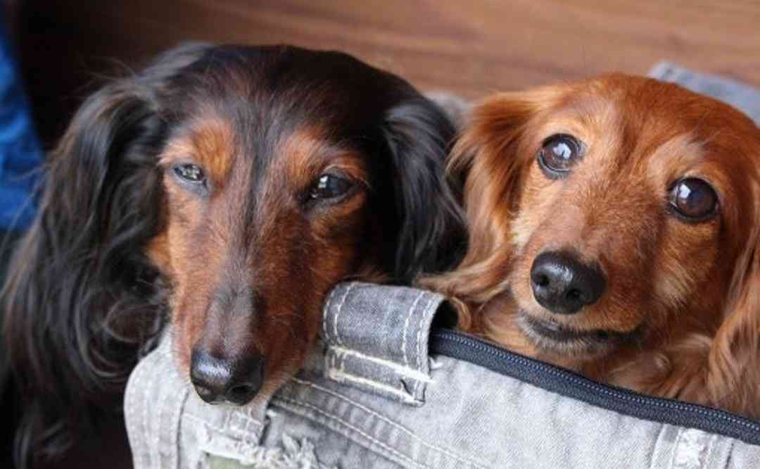 夏季うつ病の人いませんか？