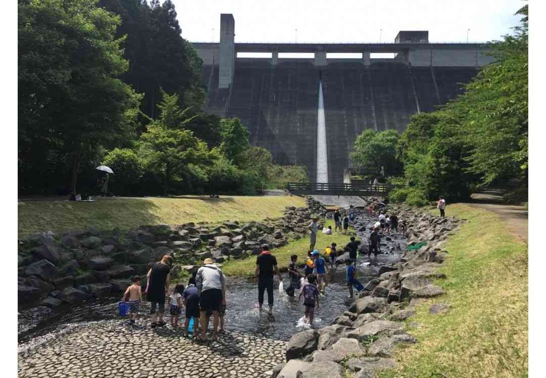 ダムで8mの高さから飛び込み重傷 水遊び中の男児 姫路