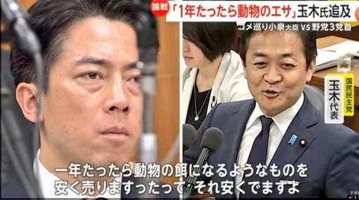 参政党さや氏、本名を公表　公表控えていた理由に「家族の健康状態」