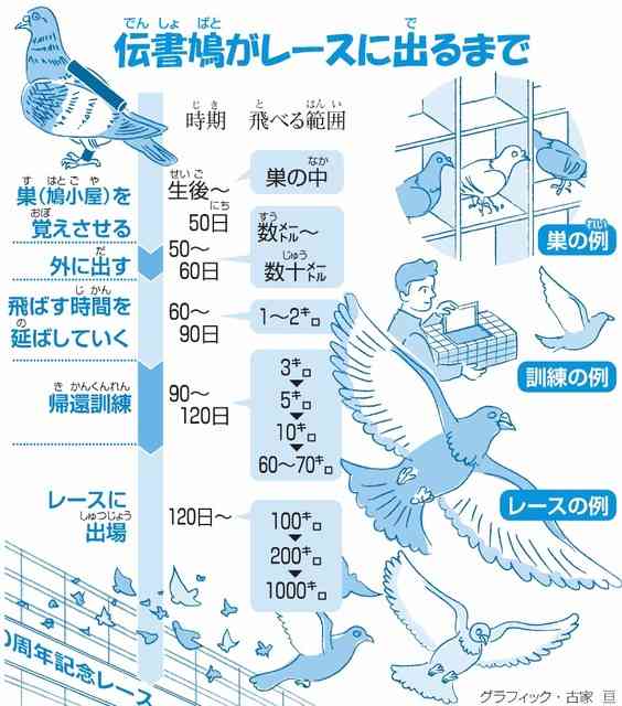 悪口って直接言われるより人伝に聞く方がメンタルやられませんか？