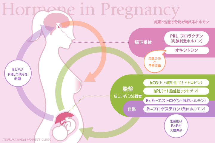 【高知】全国最後、県内初の無痛分娩　高知大で実施、2例とも「無事に出産を終えた」