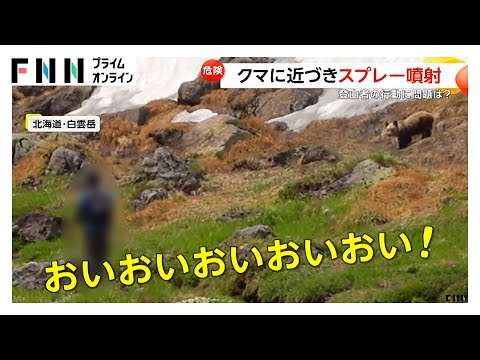 散歩中の70代男性2人立て続けに「二ホンカモシカ」に太もも“角”で突かれる　「ニホンカモシカ」その場からいなくなる　宮城・気仙沼市