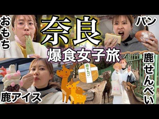 【急募】奈良のお出かけスポット！！【子連れ】