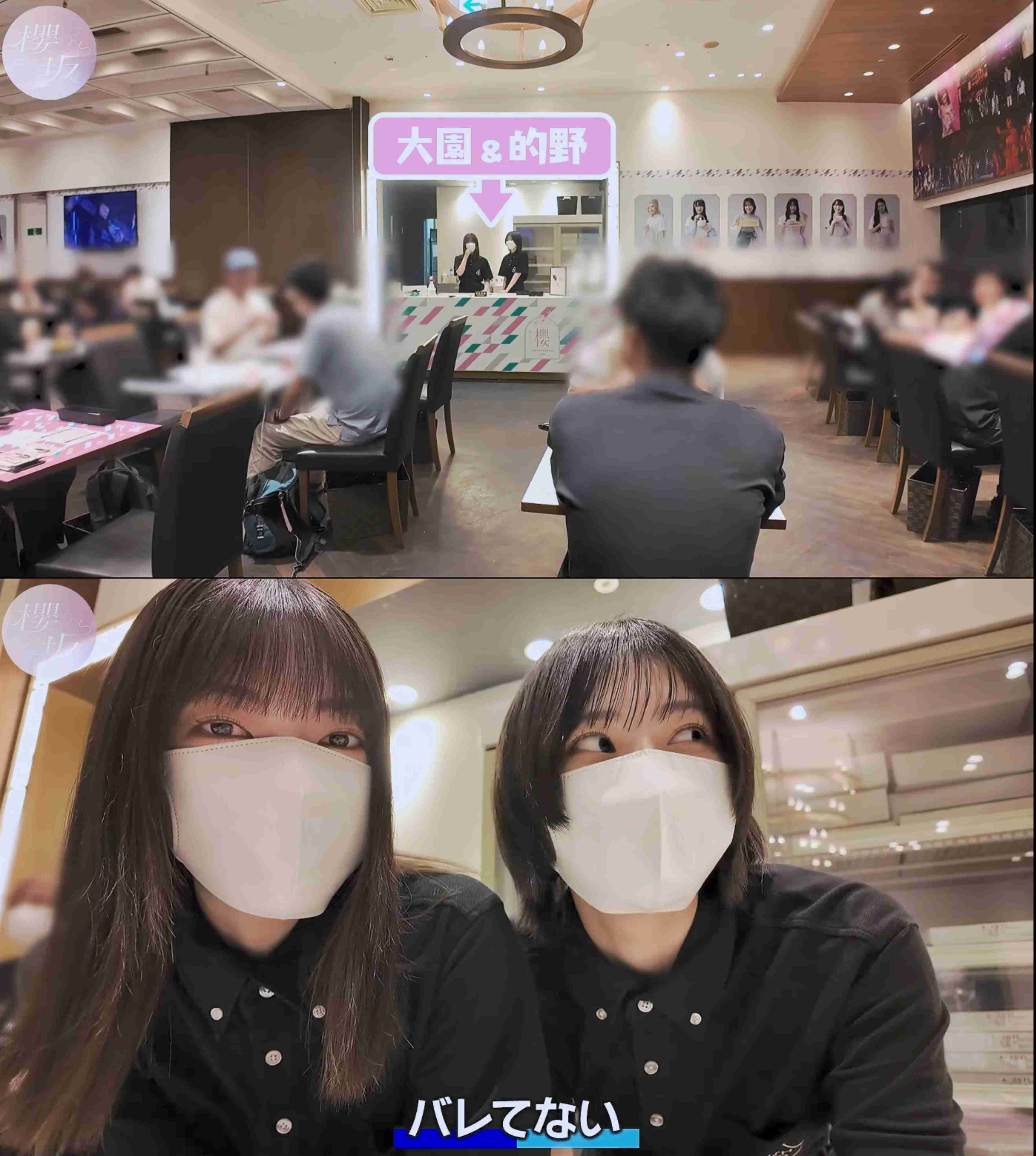 櫻坂46を語りたい Part 22