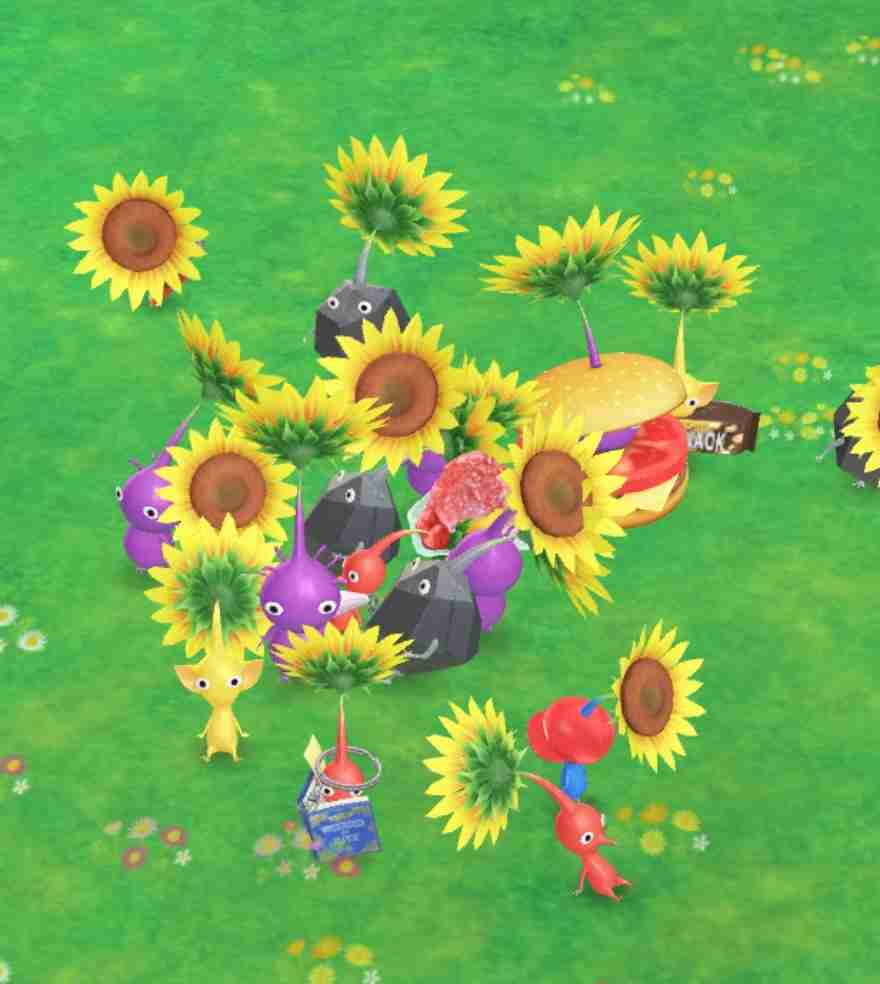 Pikmin Bloom(ピクミンブルーム)ピクミンとおでかけしよう🌻Part21