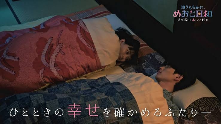 ドラマ「波うららかに、めおと日和」が好き【アンチ厳禁】