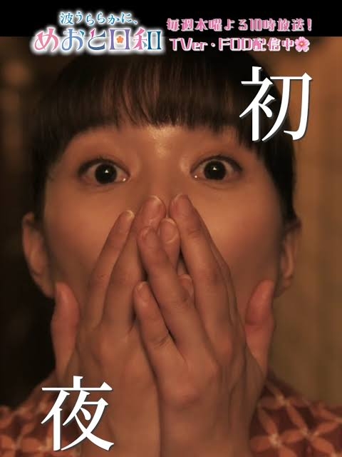 ドラマ「波うららかに、めおと日和」が好き【アンチ厳禁】