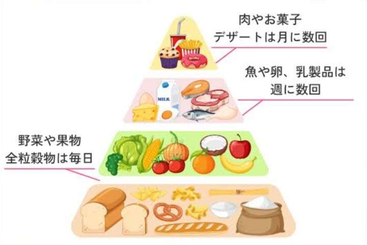 「認知症の約45%はこれで予防できる」最新の大規模研究で判明した認知症予防に効く日常習慣と最強食材