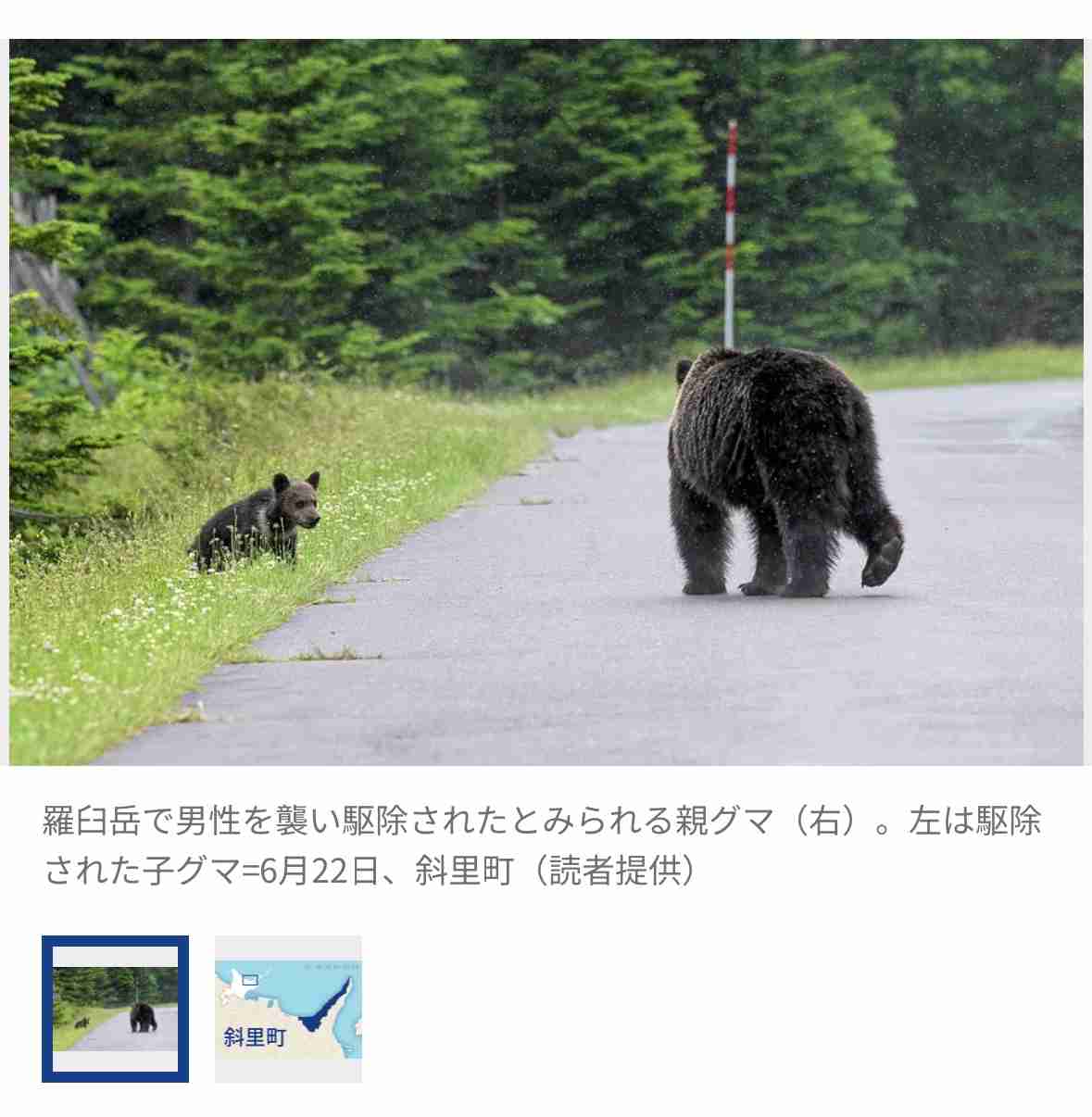 【ヒグマ速報】駆除されたクマは26歳男性を死亡させた襲撃個体であることが「DNA鑑定」で明らかに…被害者の衣服についていた体毛と唾液が母グマの肝臓と一致<北海道羅臼岳>