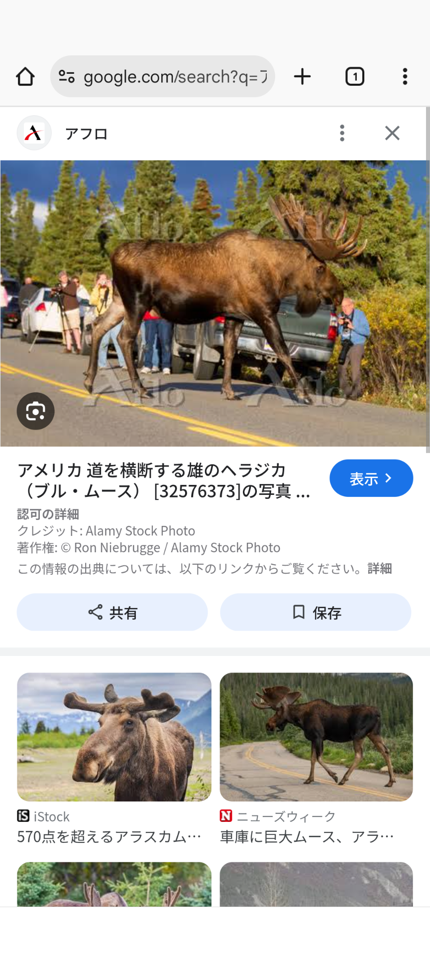 【ヒグマ速報】駆除されたクマは26歳男性を死亡させた襲撃個体であることが「DNA鑑定」で明らかに…被害者の衣服についていた体毛と唾液が母グマの肝臓と一致<北海道羅臼岳>