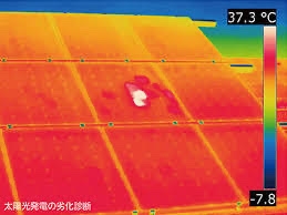 【ヒグマ速報】駆除されたクマは26歳男性を死亡させた襲撃個体であることが「DNA鑑定」で明らかに…被害者の衣服についていた体毛と唾液が母グマの肝臓と一致<北海道羅臼岳>