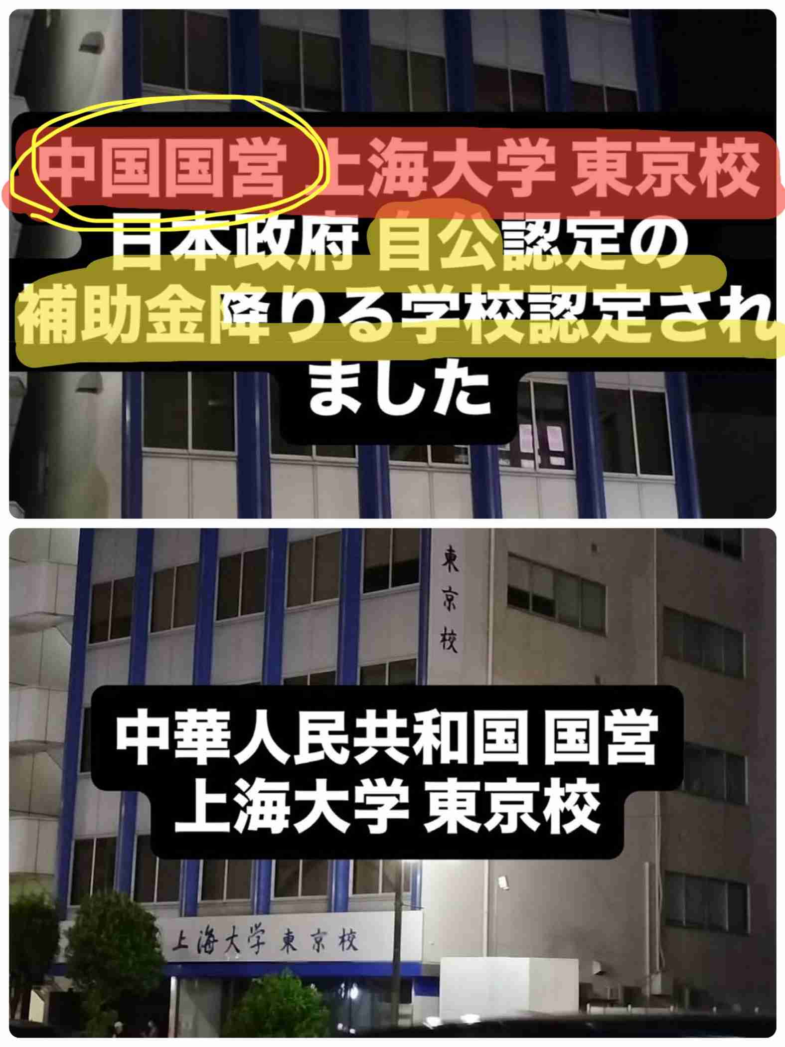 参政党の“ランク制度”の考案者が「確かにマルチっぽい」と明かす 「怪しげな健康食品や1万円するシャンプーが売られていた」証言も