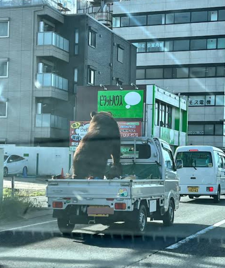 「熊の命を奪うな」「山に返してやれ」に地方在住の編集者が眉をしかめる理由…「害獣を駆除しなければ野菜が食べられなくなる」