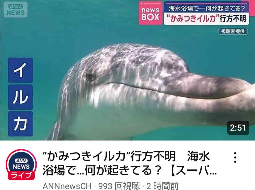 動物でホストクラブをつくるトピ 2025年・夏編