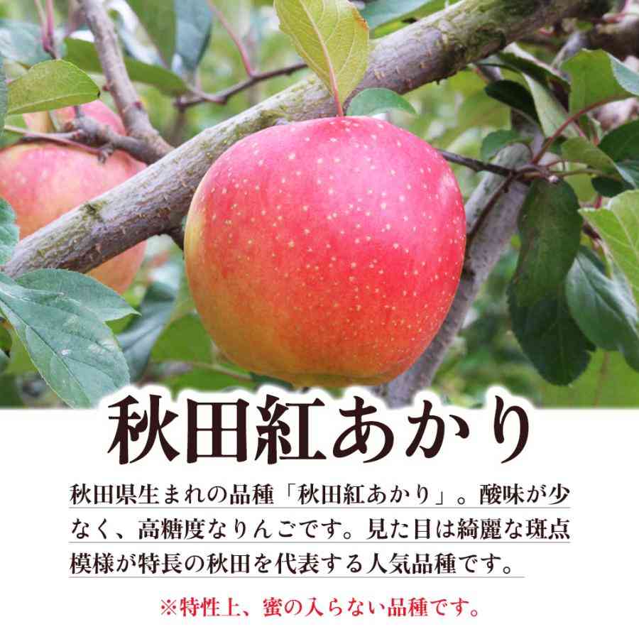 秋田県について知っていること　PART2