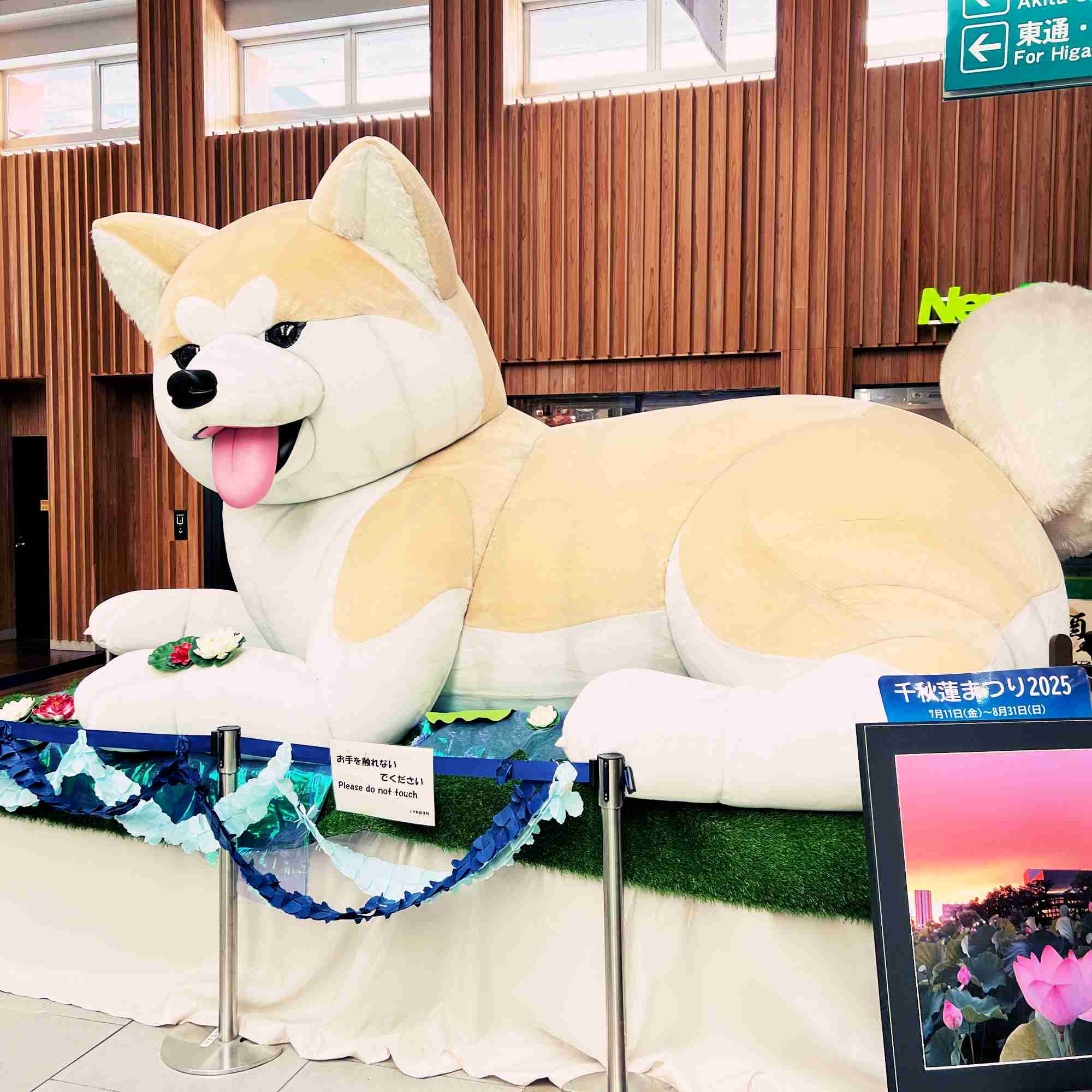 秋田県について知っていること　PART2