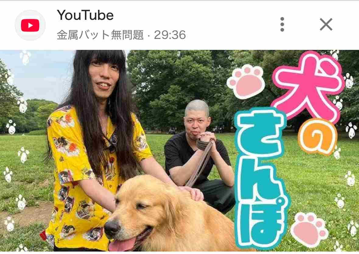【芸人】金属バット好きな人