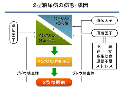 2型糖尿病の方いませんか？