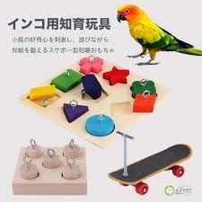 アフリカホームタウン認定「撤回を」「税金の無駄」JICA前でデモ「無理やり移民政策」