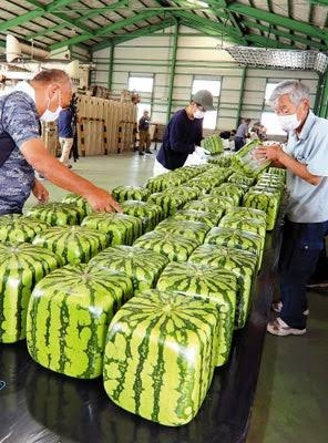 赤ちゃんのヘルメット治療が物議…“親心”が子のルッキズムを助長?高須幹弥院長「責任を感じて『治してあげたい』気持ちはわからなくもない」