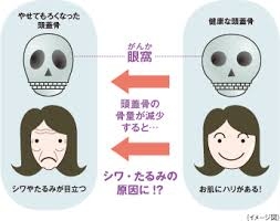 【加齢】どんどん目が小さくなっていく