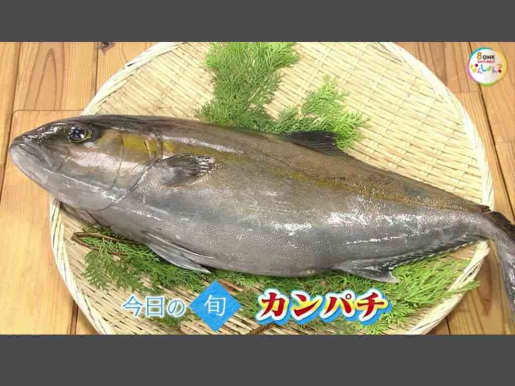環七でバイクが後ろのトラックに追突され、前のトラックに突っ込む バイクは原型とどめず…男性は意識不明の状態で搬送