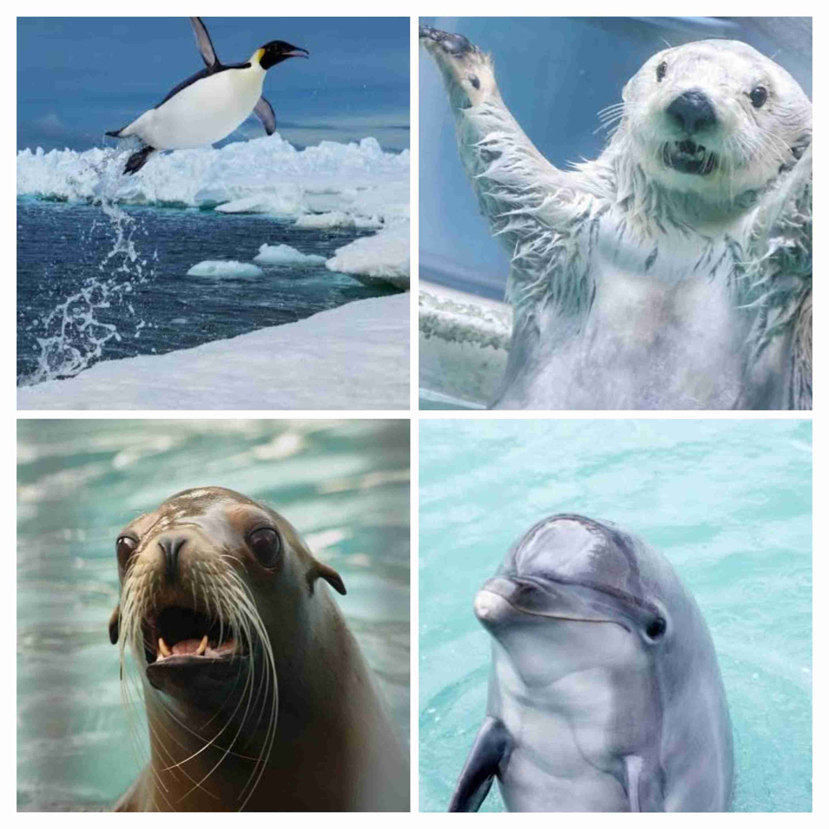 鳥肌実を知ってる人おいでPart24