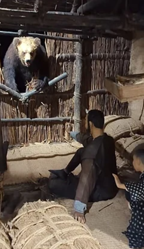 《都内を襲うクマ被害》「筋肉が凄い、犬と全然違う」青梅市の駐車場で目撃した“疾走する熊の恐怖”、行政は「檻を2基設置、駆除などを視野に対応」
