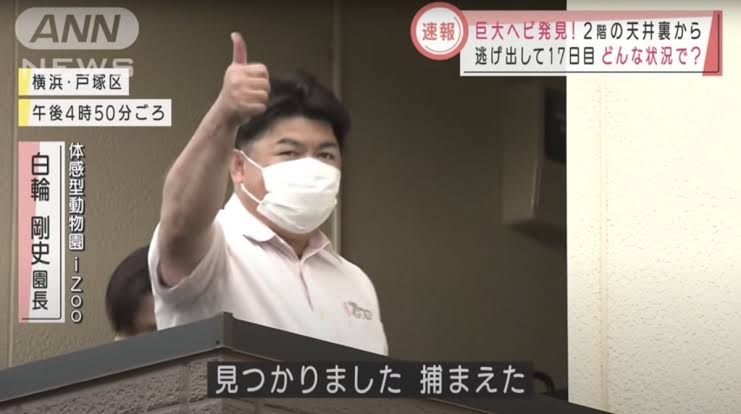 体長3メートルの『ヘビ』が青森駅近くのペットショップから脱走か 付近では『青森ねぶた祭』が開催中 青森県青森市