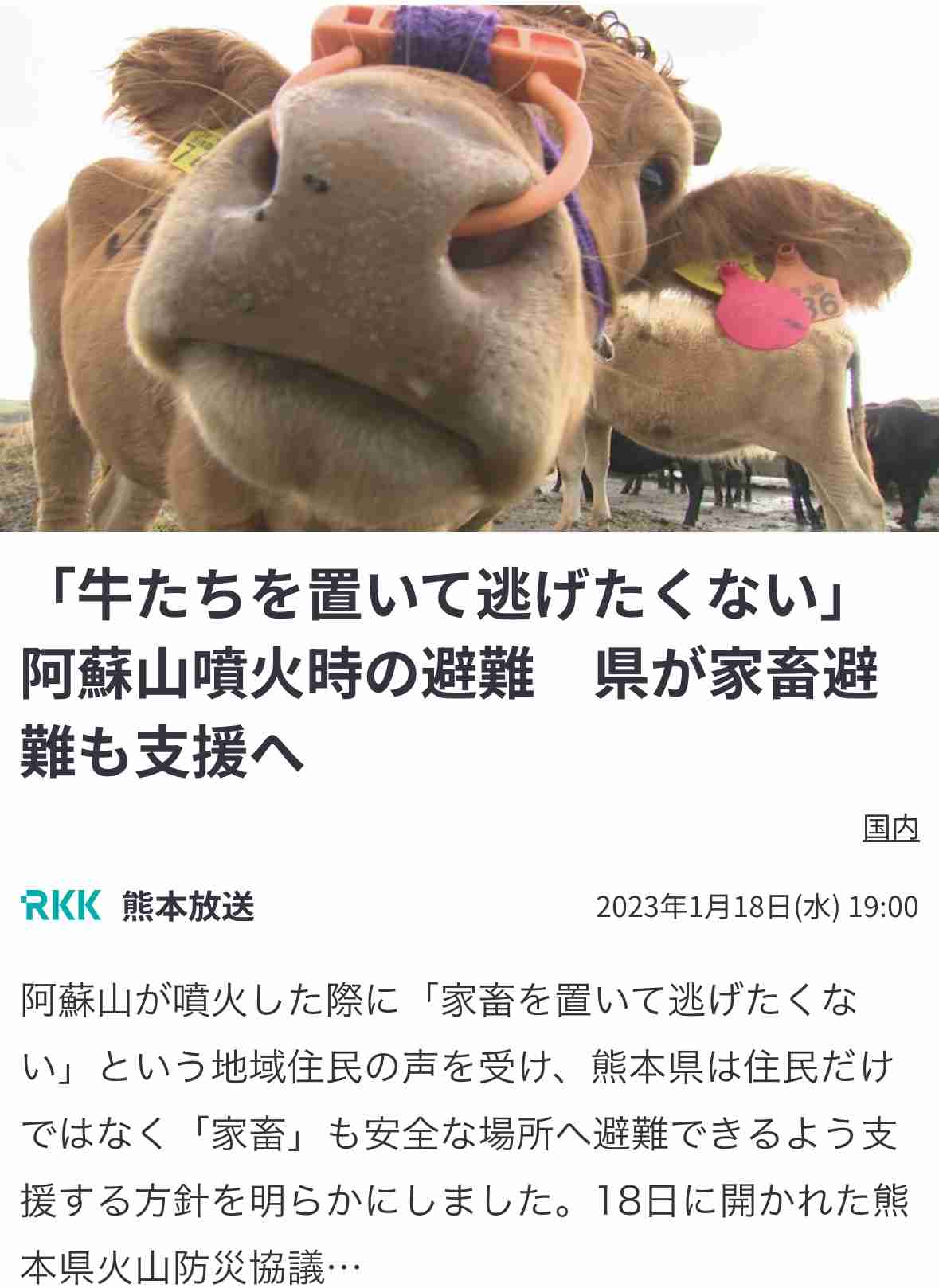 高橋真麻「80代で免許を全員取り消しに！」高齢ドライバーの事故問題で“新法案”を掲げる