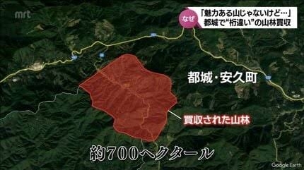 高橋真麻「80代で免許を全員取り消しに！」高齢ドライバーの事故問題で“新法案”を掲げる
