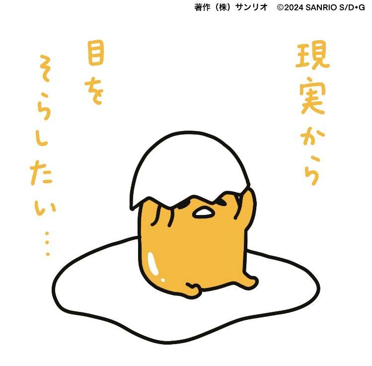 時間経つのが早過ぎる‼️‼️