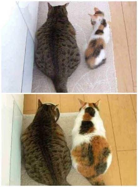できる専業主婦とは