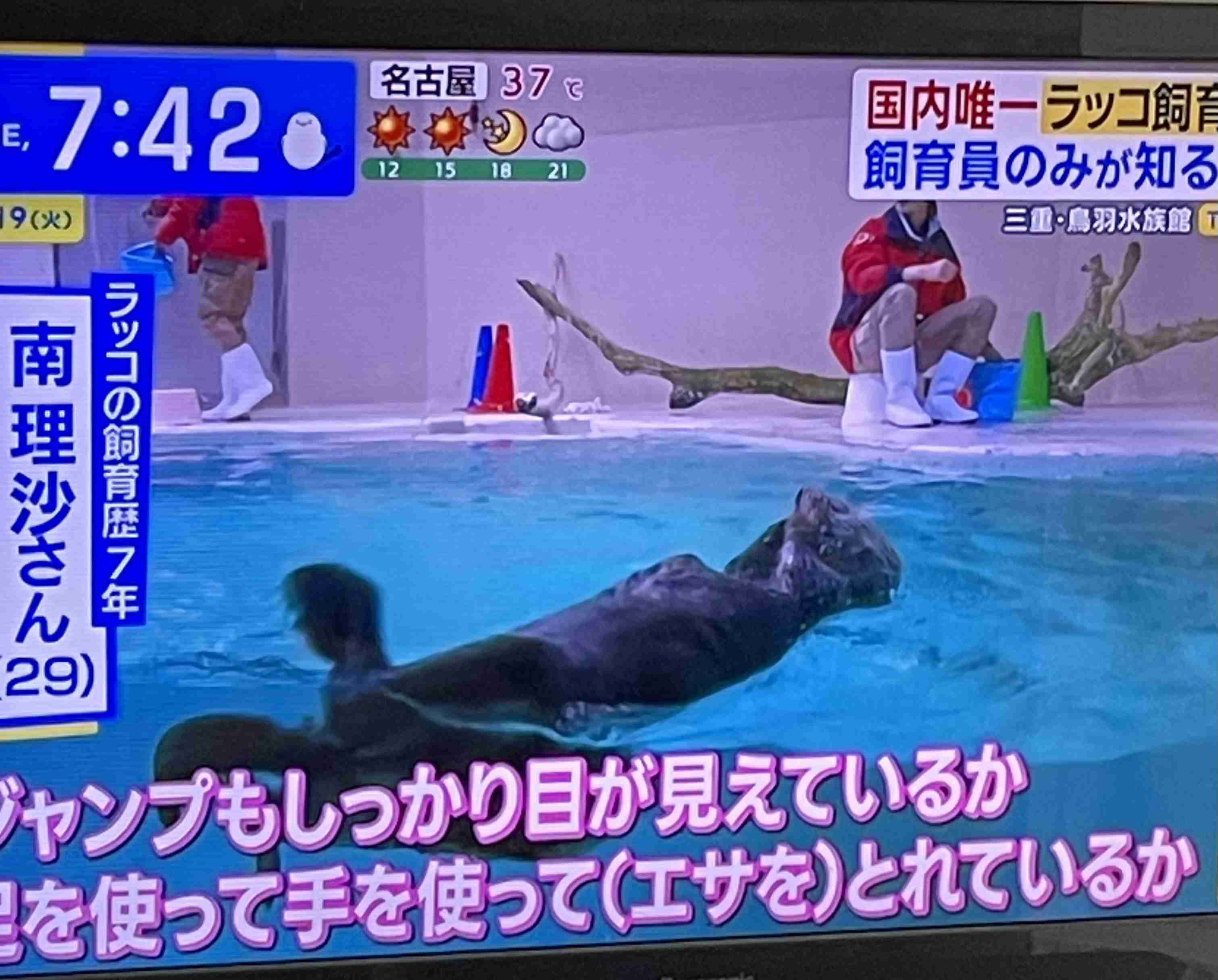 🦦ラッコが好きな人あつまれ!