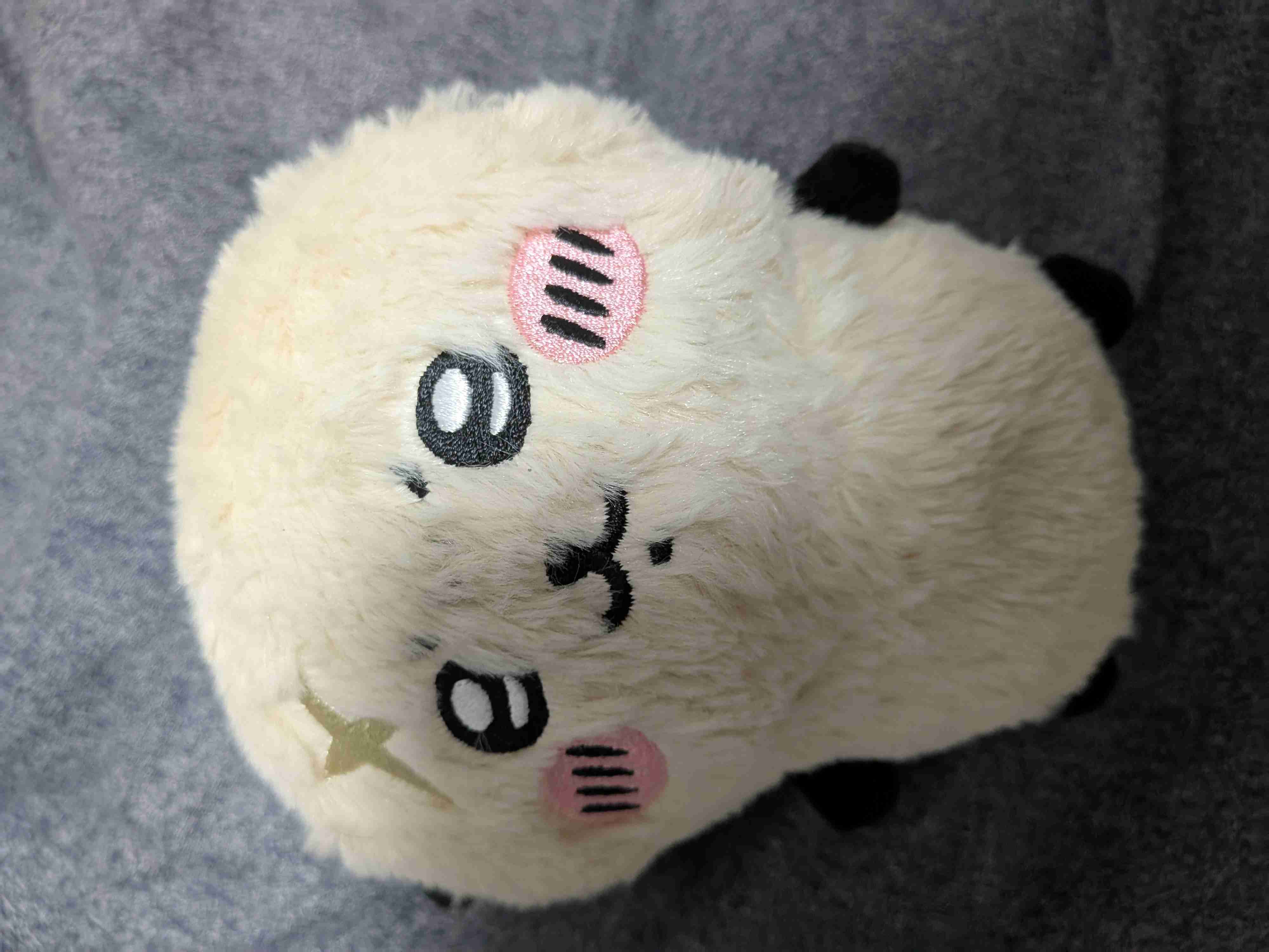 🦦ラッコが好きな人あつまれ!