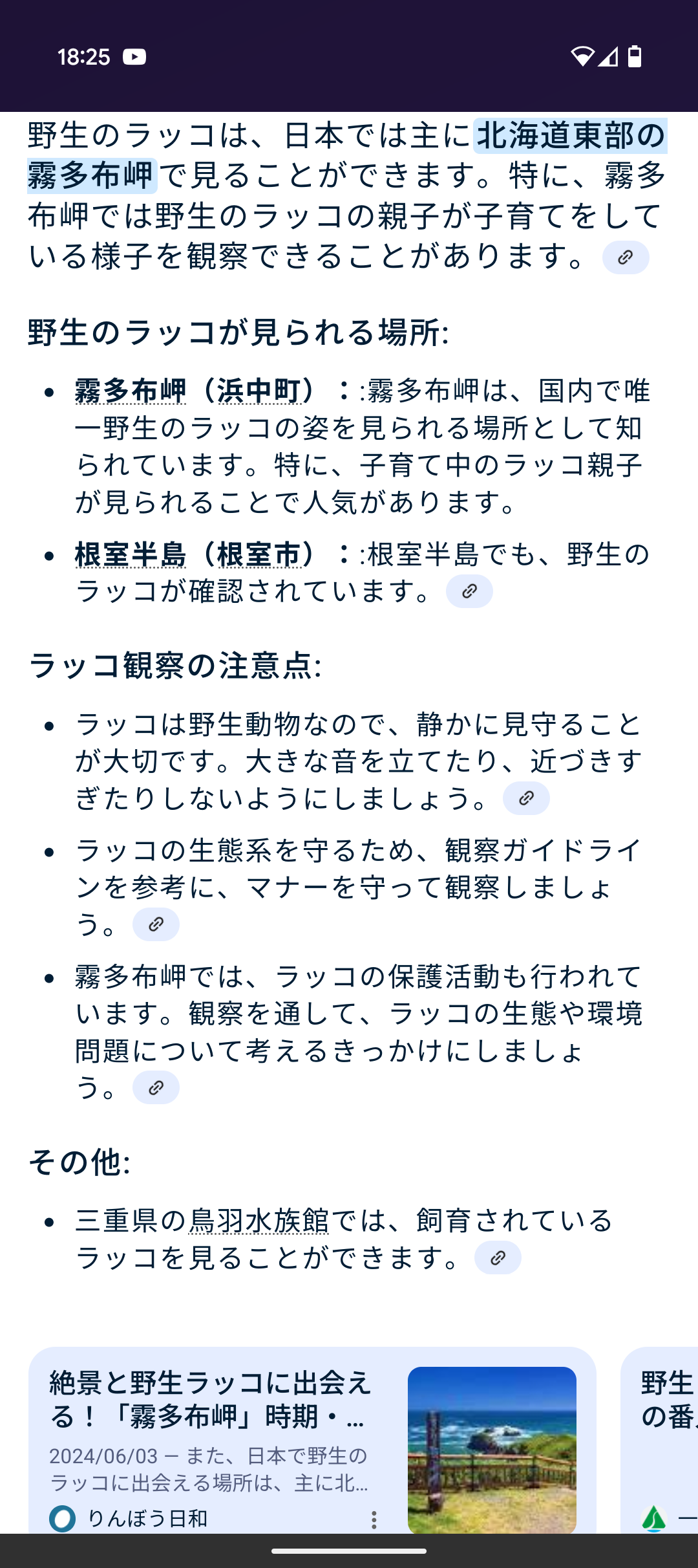 🦦ラッコが好きな人あつまれ!