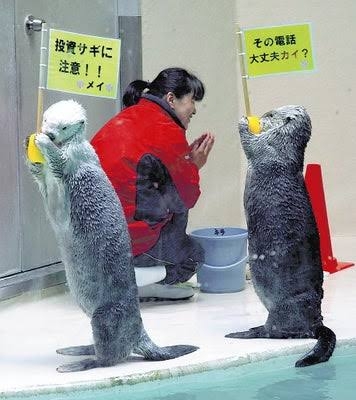 🦦ラッコが好きな人あつまれ!