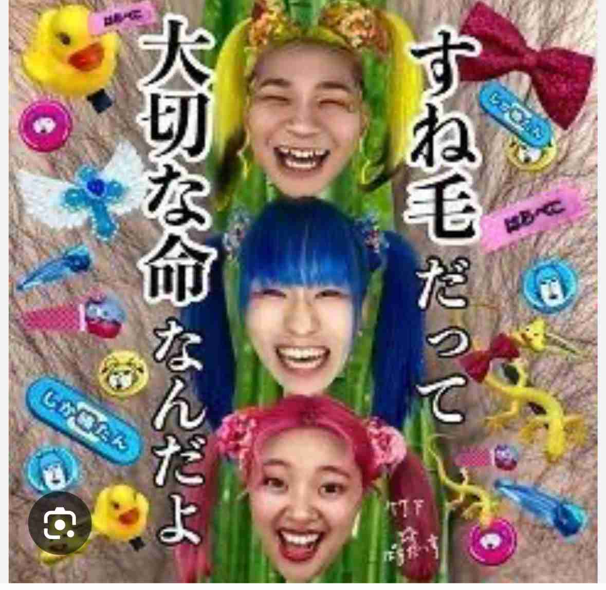 【賛否】短パン男性は《すね毛》を剃るべきなのか? SNS「すね毛キモい」「汚くて不快」相次ぐも「気にならない」擁護派も