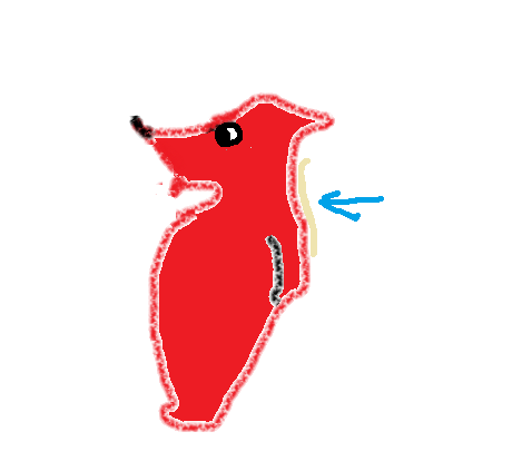 【まったり】絵しりとり【１ヶ月】