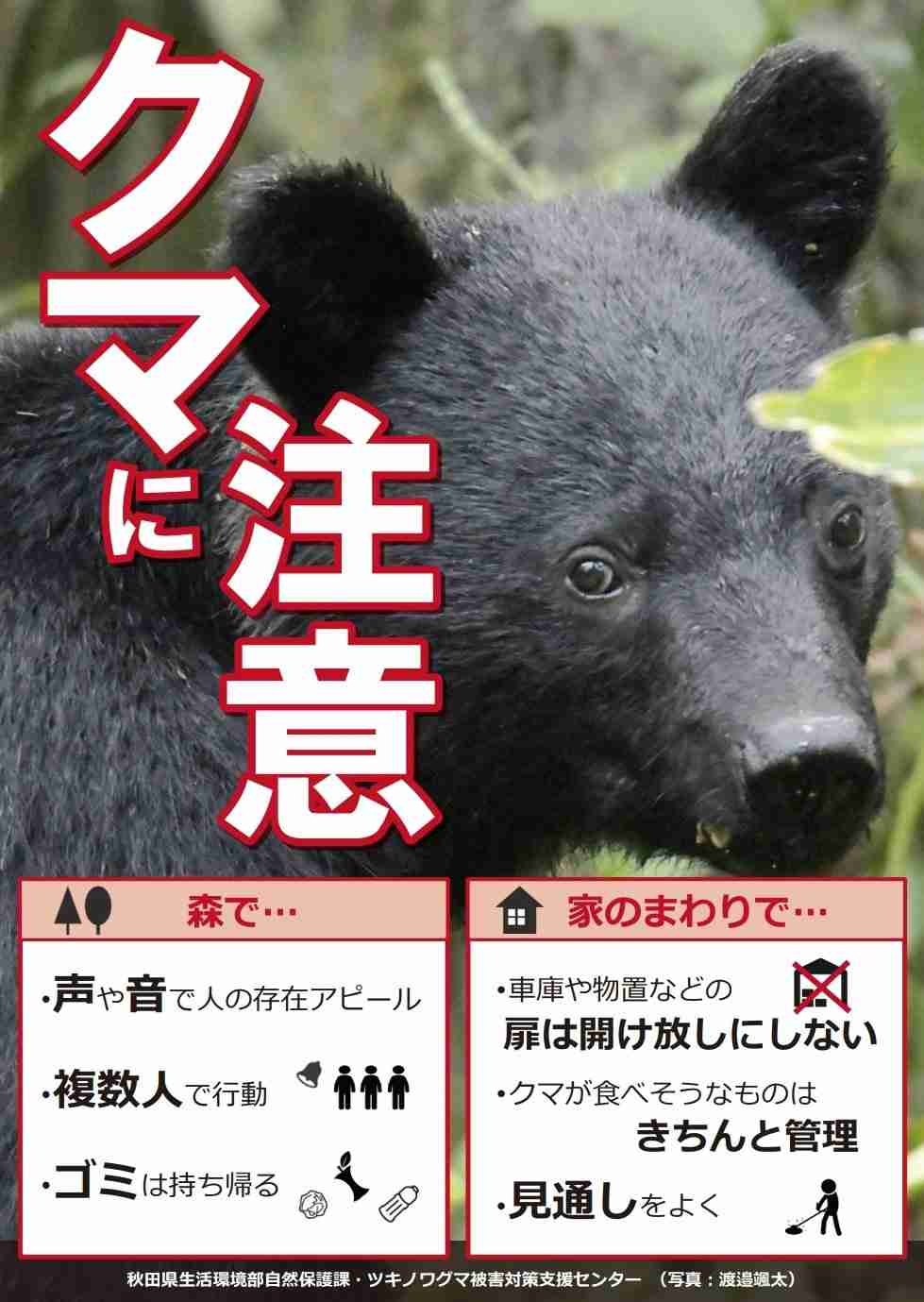 90代男性が死亡 クマに襲われた可能性 住宅内で見つかり体から出血 秋田・大仙市
