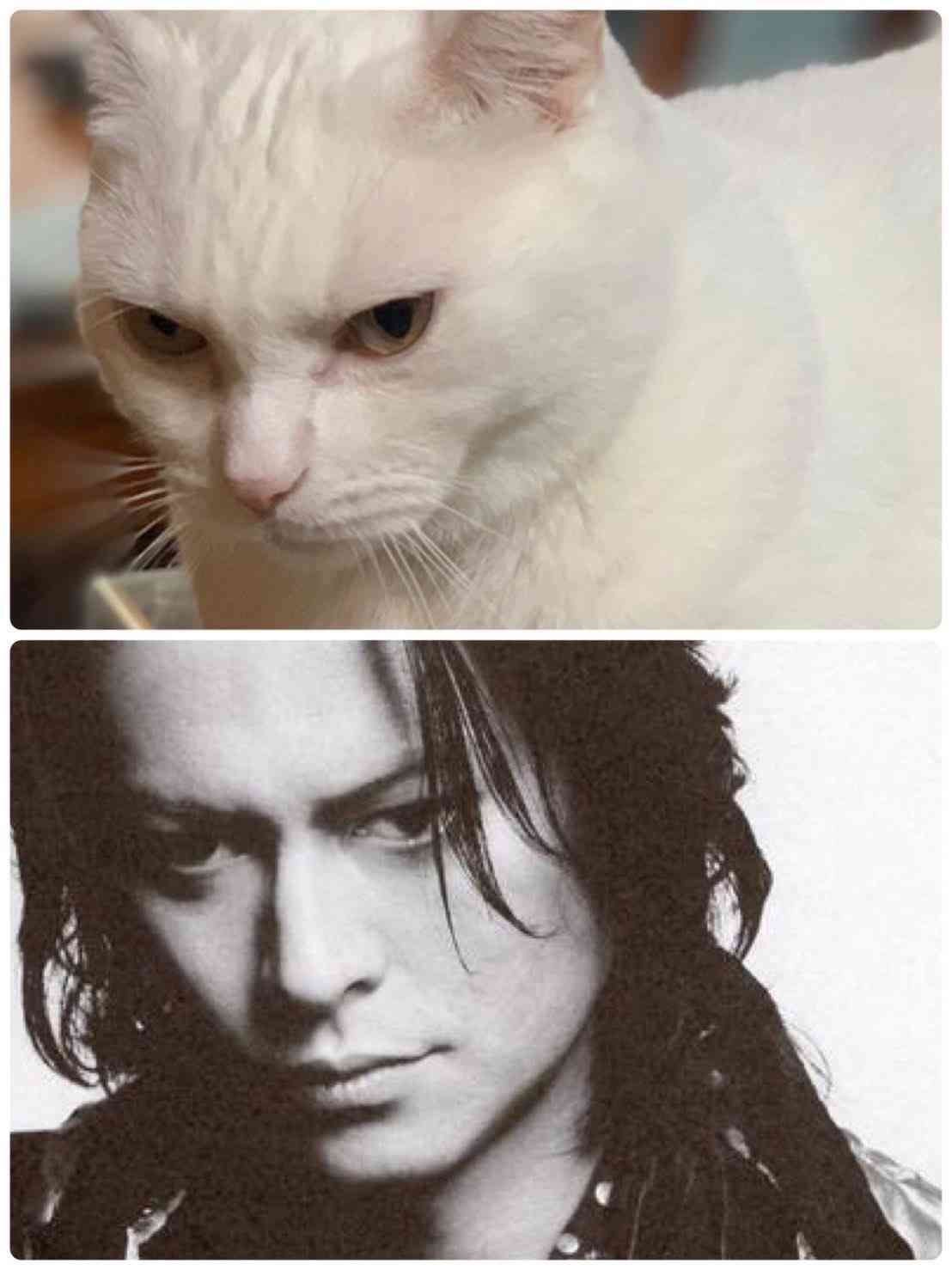 【定期】櫻井敦司語るトピ。アンチ🈲🙅