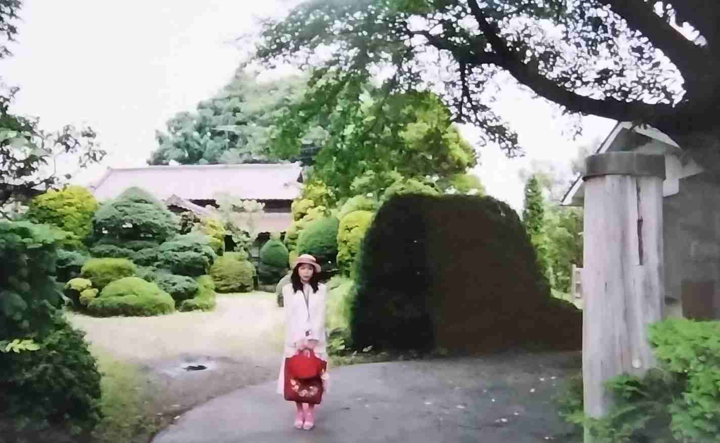 あなたの周りのお嬢様育ちの人　