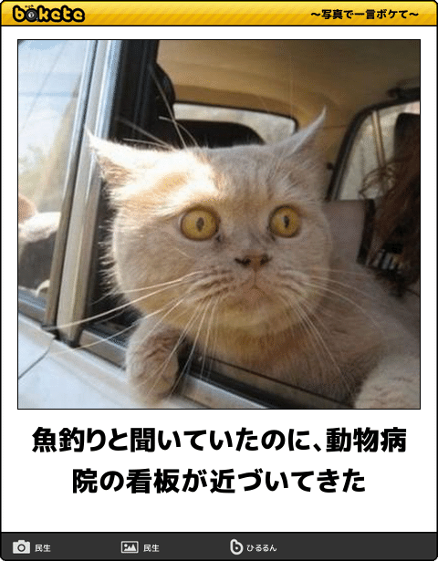 「家族連れで来ないで」動物病院の『待合室』での“迷惑行為”に共感続出「テーマパークだと思ってる？」