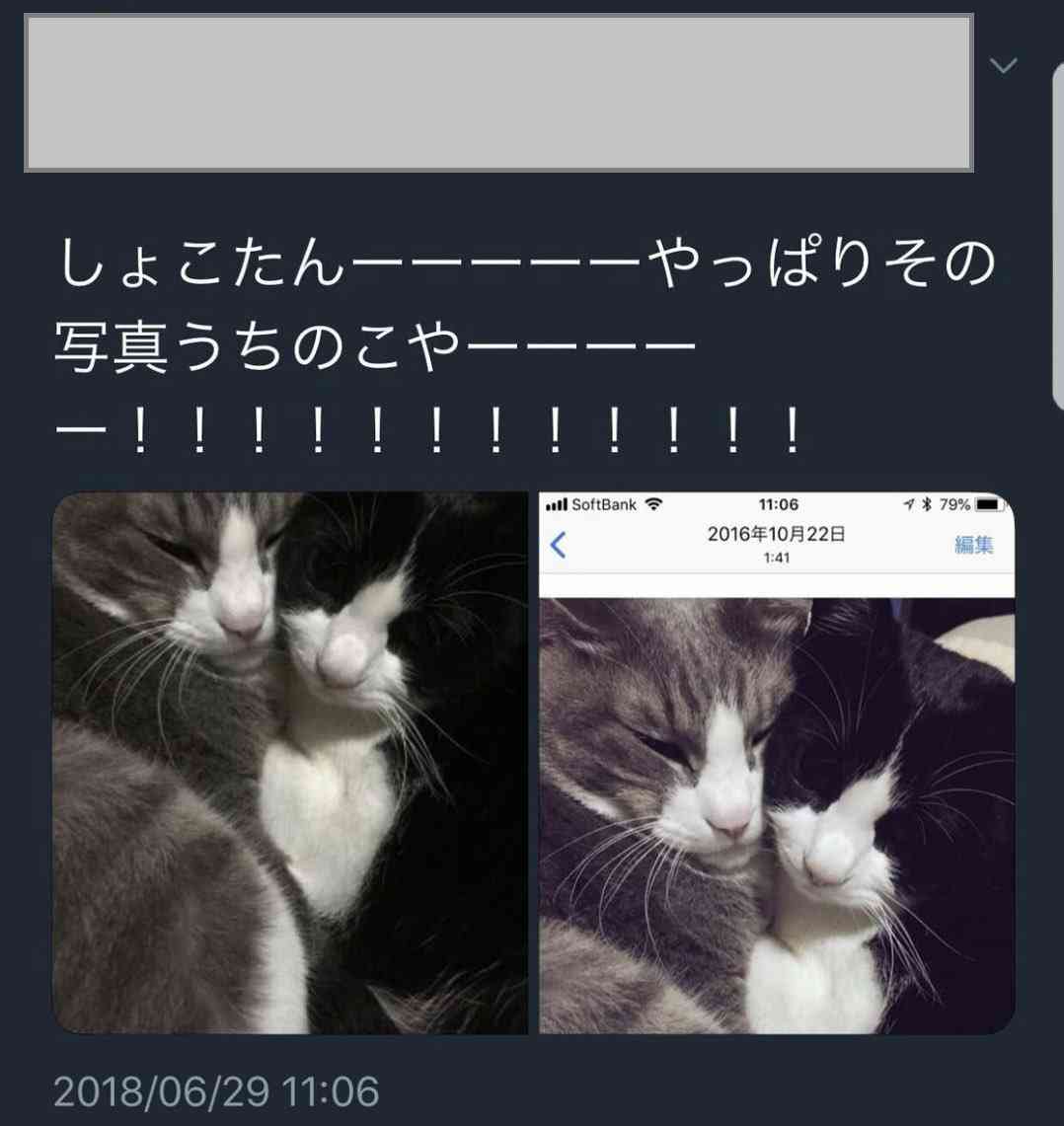 虚言癖あるある