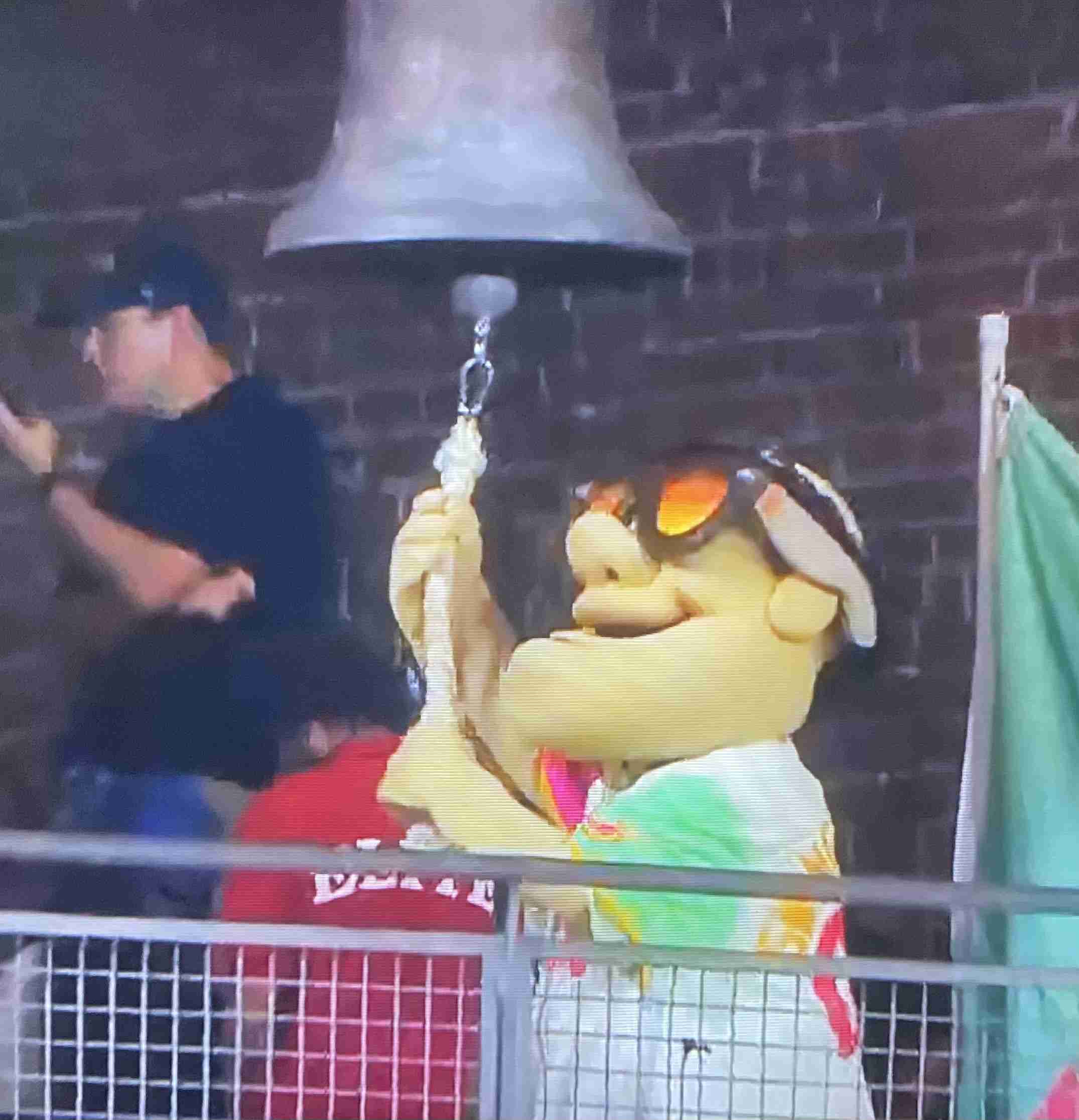 《大谷翔平「25億円ハワイ別荘」広告消滅騒動》販売会社の担当者が購入希望者に語っていた“消えた理由”と“営業トーク”「土地を買えば、大谷選手と食事できますよ！」