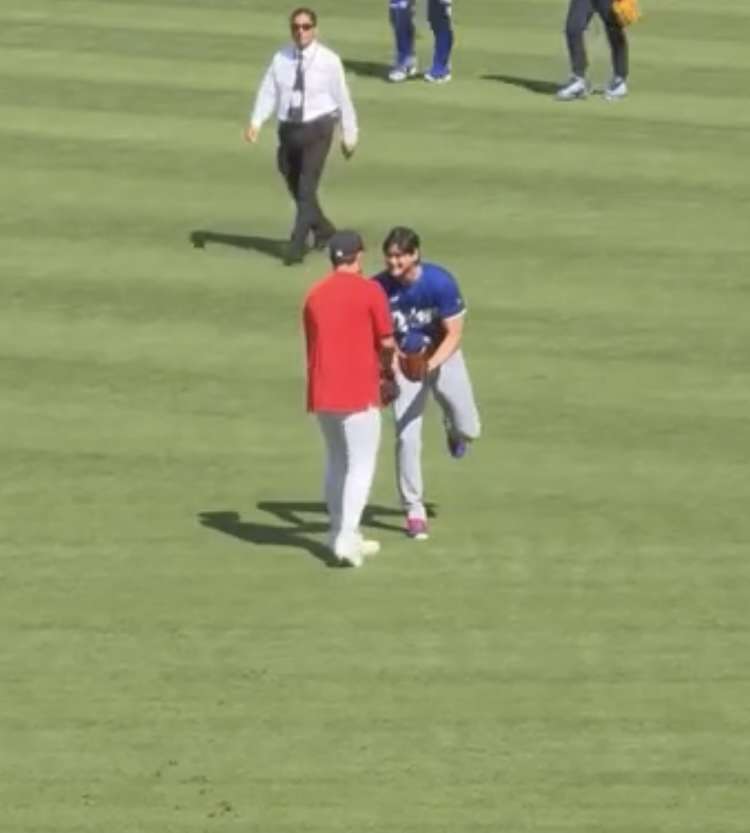 《大谷翔平「25億円ハワイ別荘」広告消滅騒動》販売会社の担当者が購入希望者に語っていた“消えた理由”と“営業トーク”「土地を買えば、大谷選手と食事できますよ！」